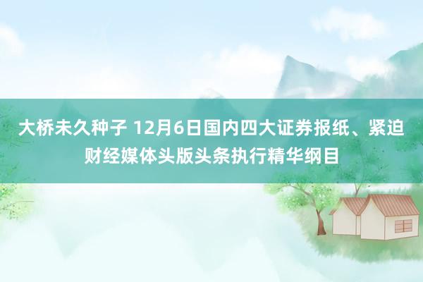 大桥未久种子 12月6日国内四大证券报纸、紧迫财经媒体头版头条执行精华纲目