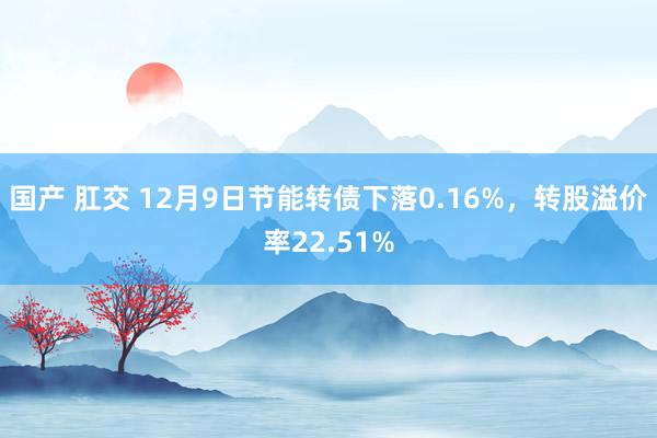 国产 肛交 12月9日节能转债下落0.16%，转股溢价率22.51%