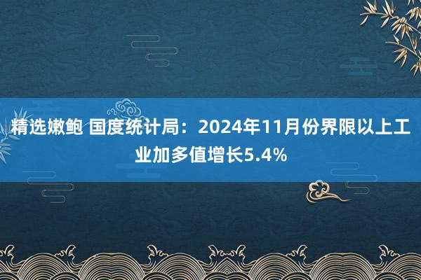 精选嫩鲍 国度统计局：2024年11月份界限以上工业加多值增长5.4%