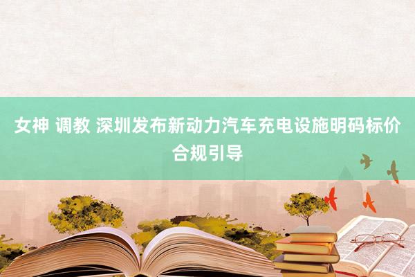 女神 调教 深圳发布新动力汽车充电设施明码标价合规引导