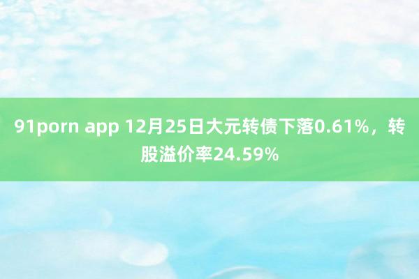 91porn app 12月25日大元转债下落0.61%，转股溢价率24.59%