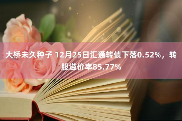 大桥未久种子 12月25日汇通转债下落0.52%，转股溢价率85.77%