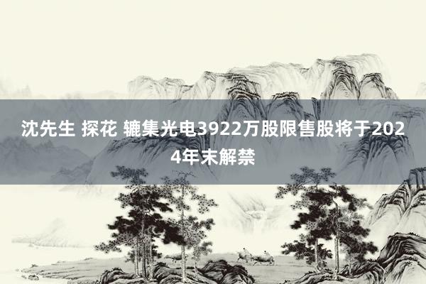 沈先生 探花 辘集光电3922万股限售股将于2024年末解禁