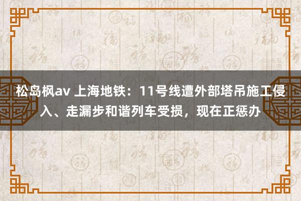 松岛枫av 上海地铁：11号线遭外部塔吊施工侵入、走漏步和谐列车受损，现在正惩办