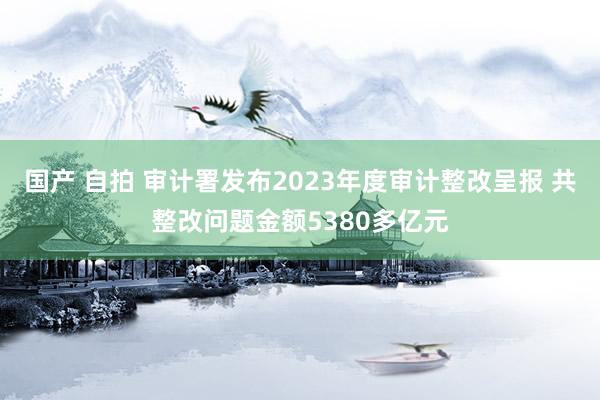 国产 自拍 审计署发布2023年度审计整改呈报 共整改问题金额5380多亿元