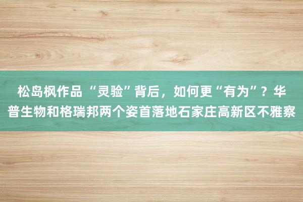 松岛枫作品 “灵验”背后，如何更“有为”？华普生物和格瑞邦两个姿首落地石家庄高新区不雅察