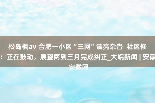 松岛枫av 合肥一小区“三网”清亮杂沓  社区修起：正在鼓动，展望两到三月完成纠正_大皖新闻 | 安徽网