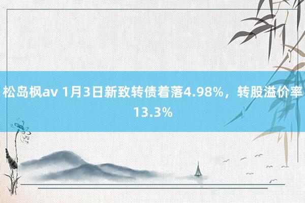 松岛枫av 1月3日新致转债着落4.98%，转股溢价率13.3%