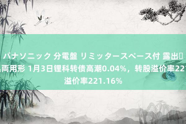 パナソニック 分電盤 リミッタースペース付 露出・半埋込両用形 1月3日锂科转债高潮0.04%，转股溢价率221.16%