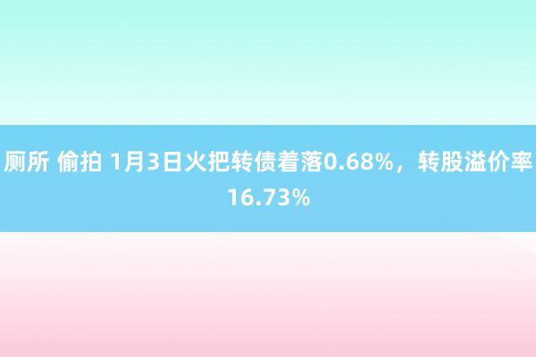 厕所 偷拍 1月3日火把转债着落0.68%，转股溢价率16.73%