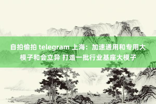 自拍偷拍 telegram 上海：加速通用和专用大模子和会立异 打造一批行业基座大模子