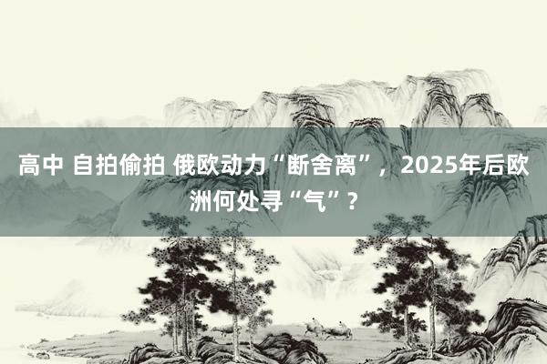 高中 自拍偷拍 俄欧动力“断舍离”，2025年后欧洲何处寻“气”？