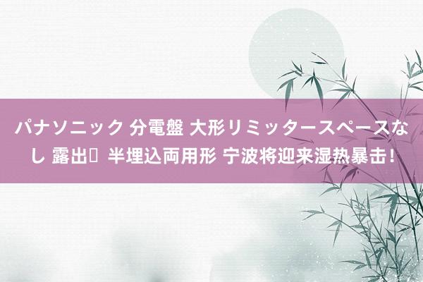 パナソニック 分電盤 大形リミッタースペースなし 露出・半埋込両用形 宁波将迎来湿热暴击！