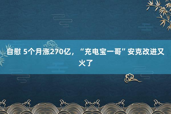 自慰 5个月涨270亿，“充电宝一哥”安克改进又火了