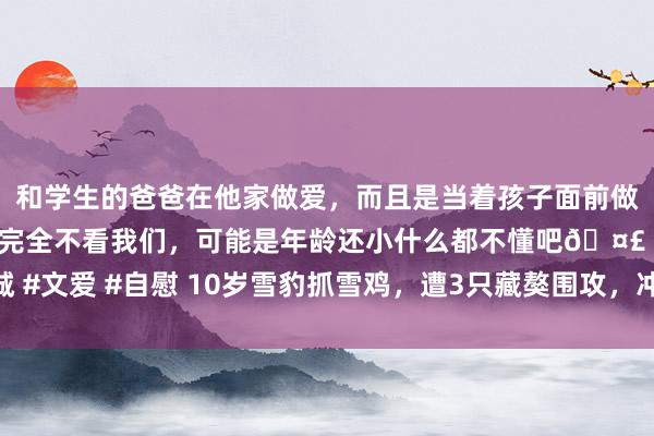 和学生的爸爸在他家做爱，而且是当着孩子面前做爱，太刺激了，孩子完全不看我们，可能是年龄还小什么都不懂吧🤣 #同城 #文爱 #自慰 10岁雪豹抓雪鸡，遭3只藏獒围攻，冲往日咬伤藏獒，我方也受伤