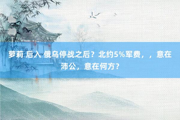 萝莉 后入 俄乌停战之后？北约5%军费，，意在沛公，意在何方？