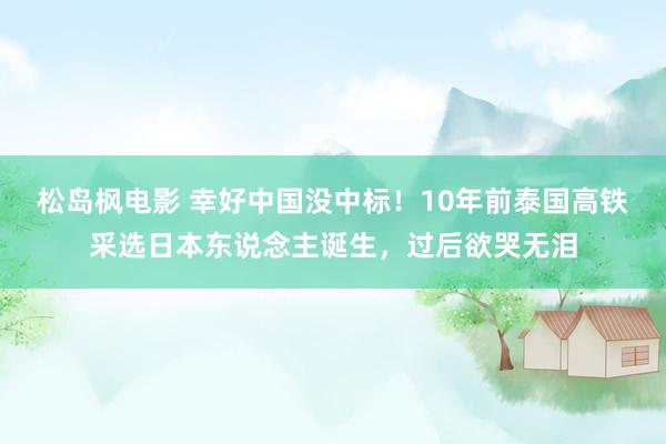 松岛枫电影 幸好中国没中标！10年前泰国高铁采选日本东说念主诞生，过后欲哭无泪