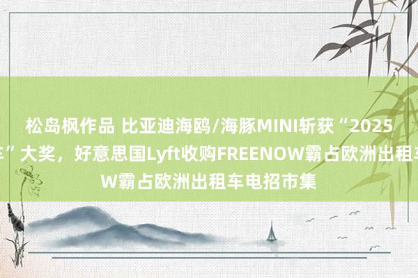 松岛枫作品 比亚迪海鸥/海豚MINI斩获“2025寰宇城市车”大奖，好意思国Lyft收购FREENOW霸占欧洲出租车电招市集